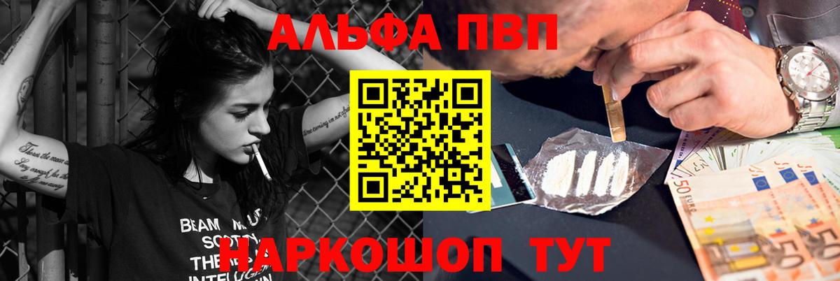 Альфа ПВП СК КРИС Кизляр