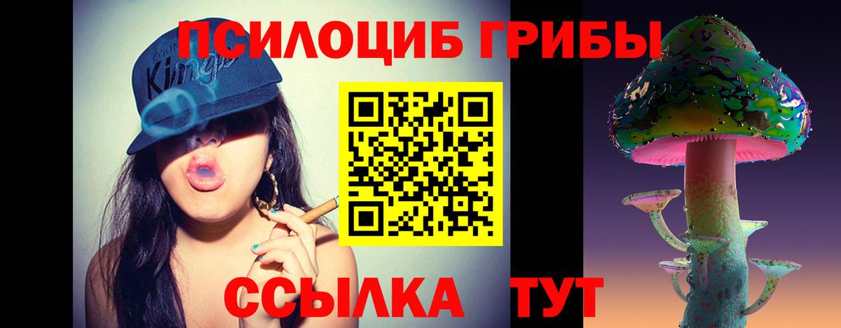 Псилоцибиновые грибы GOLDEN TEACHER  Вход с VPN  Кизляр 